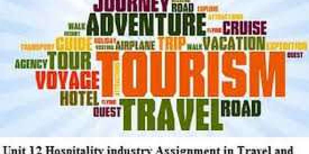 TRAVEL AND TOURISM INDUSTRY
