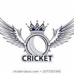 Cricket Profile Picture