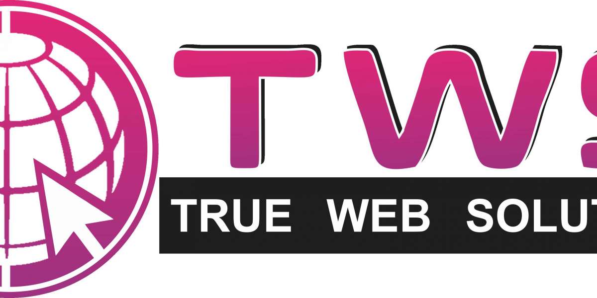 Best Website Designing Company in Delhi NCR | True Web Solutions