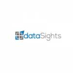 DataSights Co. Profile Picture
