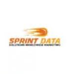 Sprint Data Solutions Profile Picture