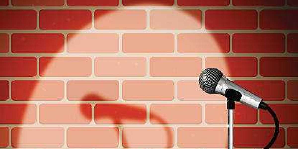 The art of stand-up comedy
