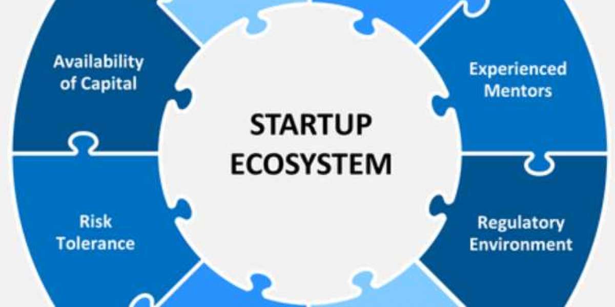 The role of startup incubators and accelerators in developing emerging technologies, such as AI and blockchain.