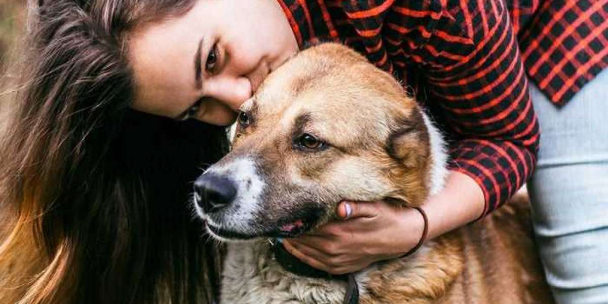 The benefits of owning a pet for mental health and well-being.