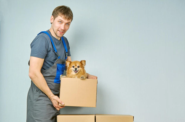 Professional & Best Packers And Movers Bangalore - PAM Company