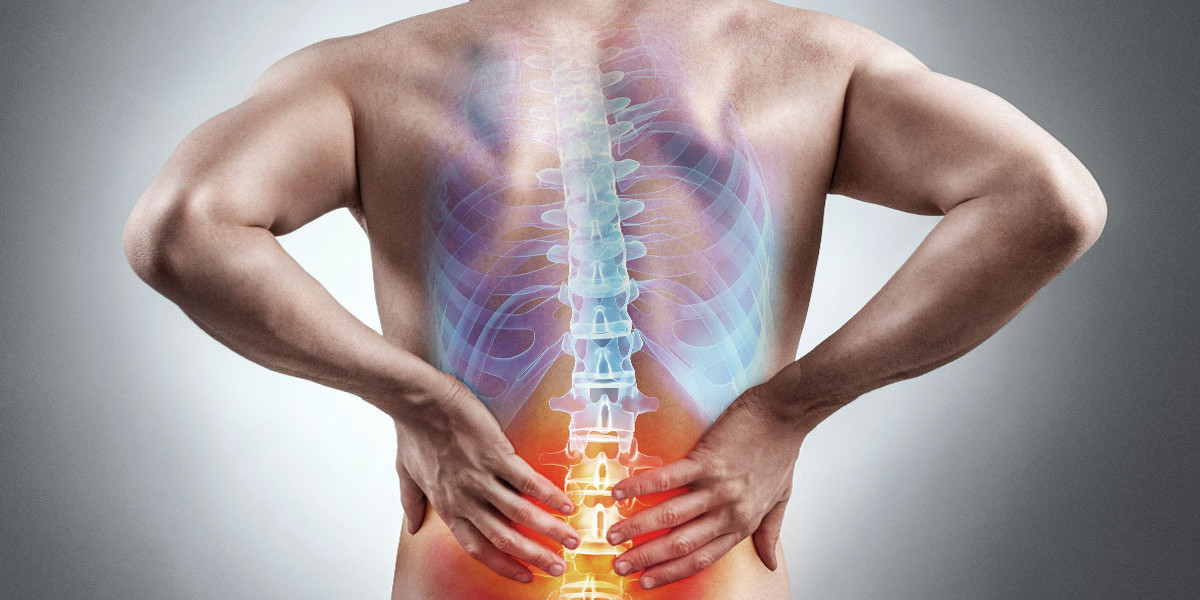 Lower Back Pain Market Dynamics: What You Need to Know