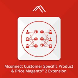 Magento 2 Price Per Customer Extension by Mconnect Media