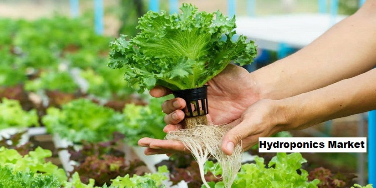 Hydroponics Market Analysis: Assessing Size, Share, and Forecast